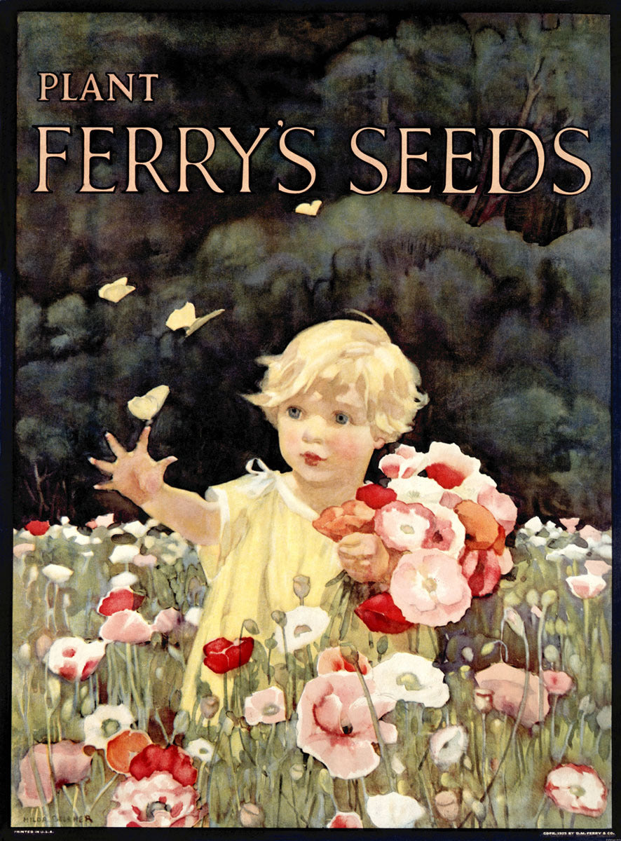 Ferry Seed Garden Child Poster 0000-3575