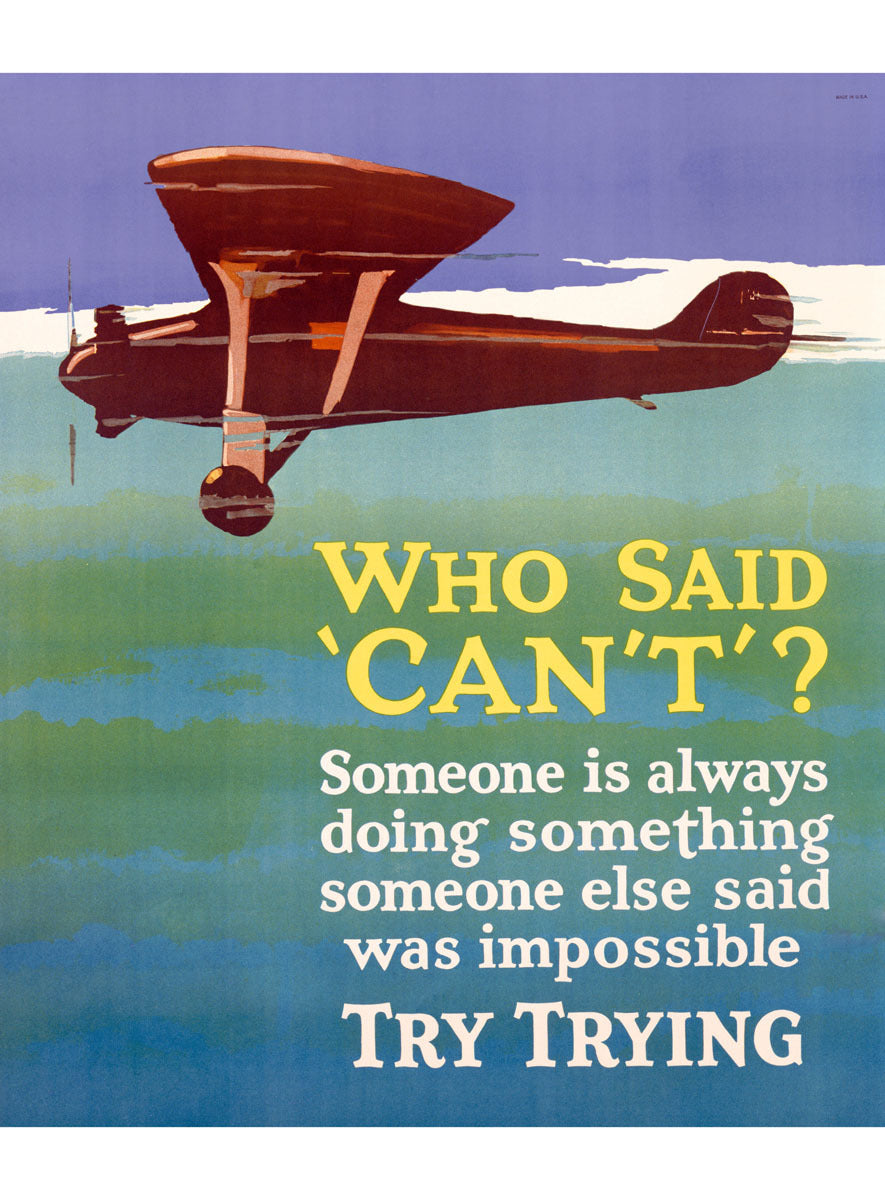 Try Trying Success Motivational Poster 0000-4378
