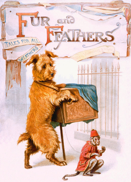 Childrens Fur and Feathers Story Book Poster 0000-4563