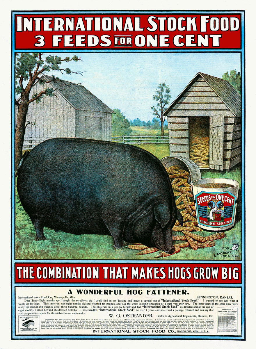 International Hog Swine Feed Poster 0000-6236