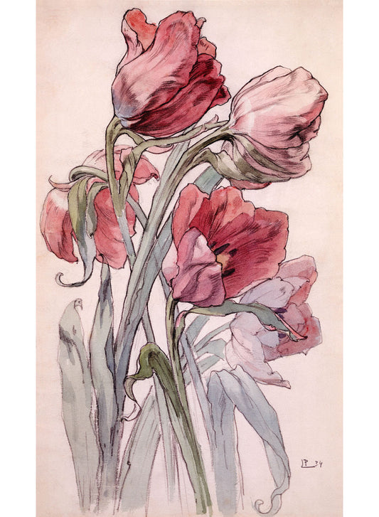 Tulips Poster 0002-2647
