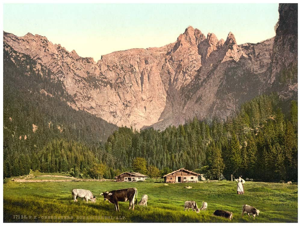 Scharitzkehl-Alp, Upper Bavaria, Germany 0400-3337