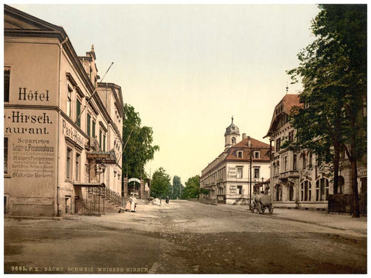 Weisser Hirsch, Saxony, Germany 0400-3589