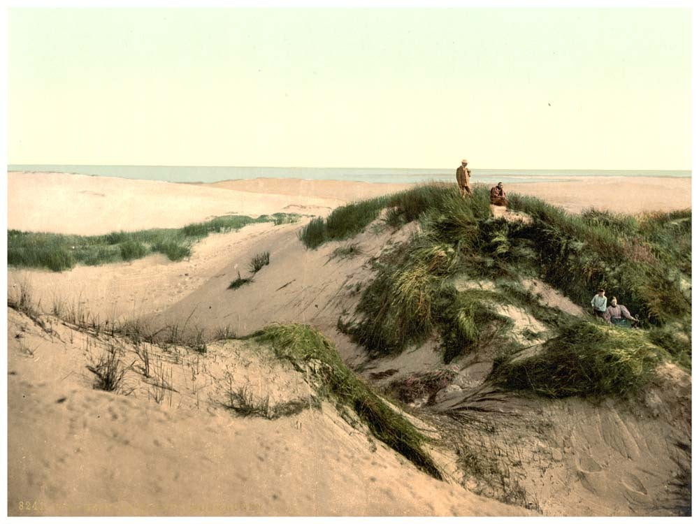 The dunes, Sylt Listland, Westerland, Sylt, Schleswig-Holstein, Germany 0400-3638