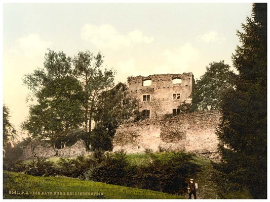 The old castle, Liebenstein (i.e., Bad Liebenstein), Thuringia, Germany 0400-3709