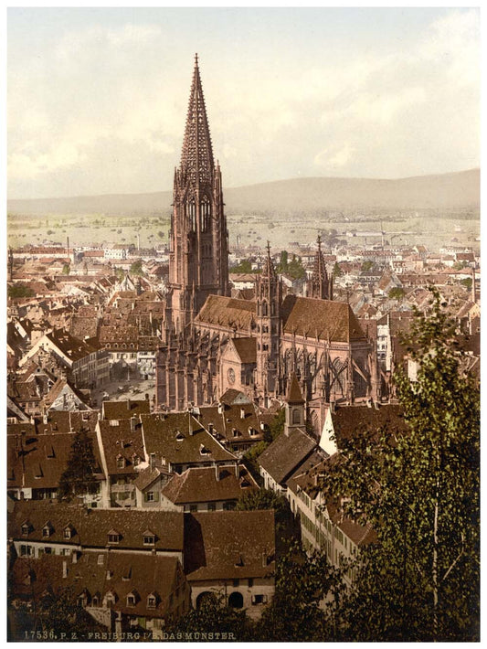 The Munster, Freiburg, Baden, Germany 0400-3906