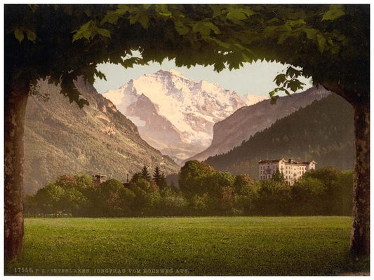 Jungfrau, from Hoheweg, Bernese Oberland, Switzerland 0400-4865