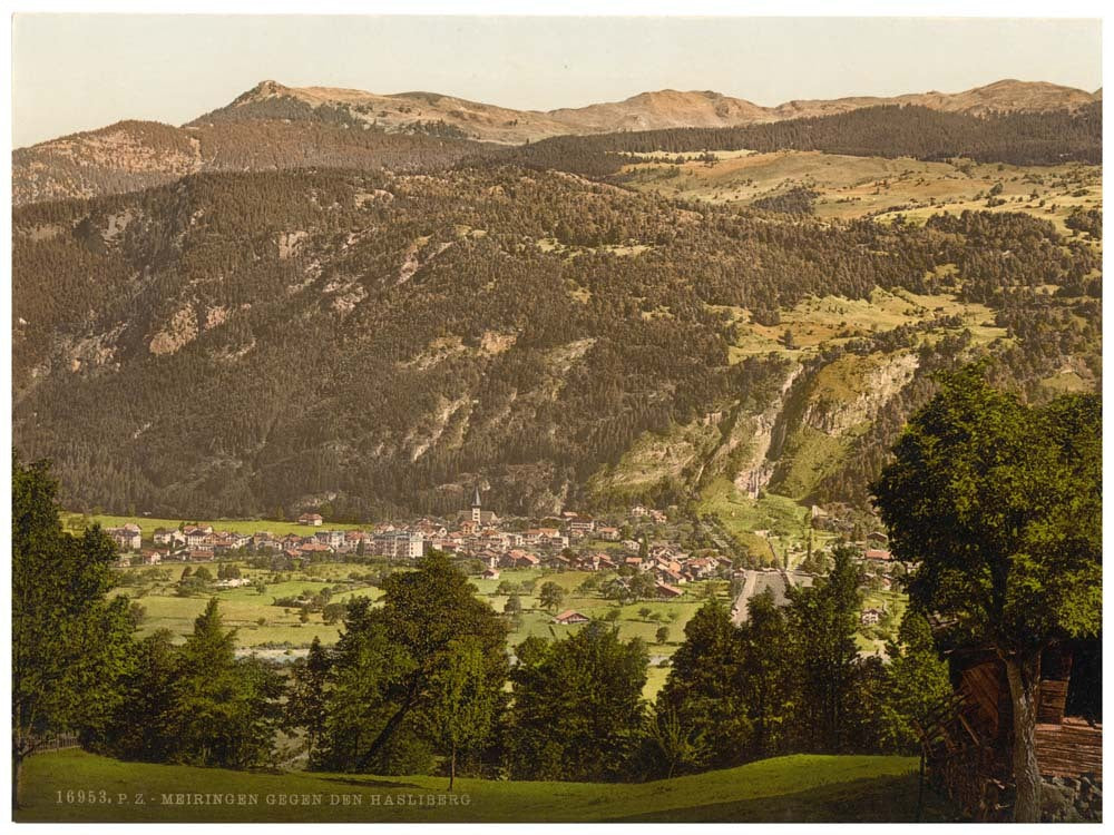Meirngen, looking towards the Hasliberg, Bernese Oberland, Switzerland 0400-4894