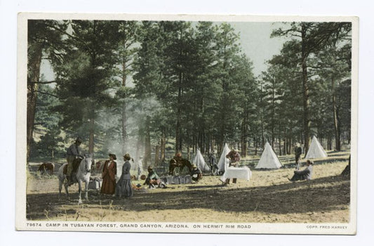 Camp in Tusuyan Forest, Hermit Rim, Grand Canyon, Ariz.