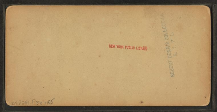 View on the Ledge, Mt. Washington, N.H.