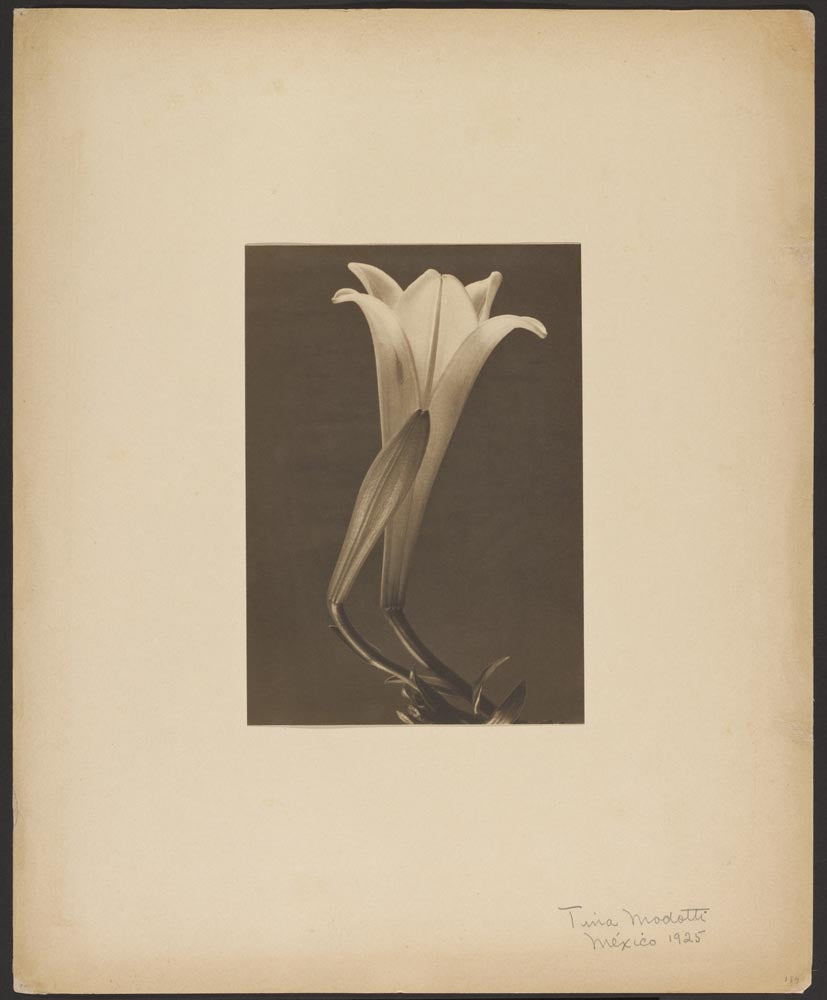 Tina Modotti Mexico 1925