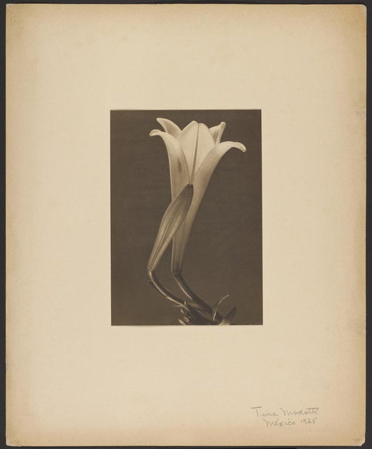 Tina Modotti Mexico 1925