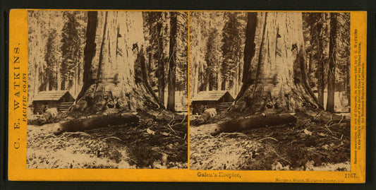 Galen's Hospice, Mariposa Grove, Mariposa County, Cal.