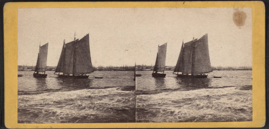 View from foot of Whitehall street, looking towards south Brooklyn. The agitation of water in the foreground is occasioned ny a steamboat just passed.