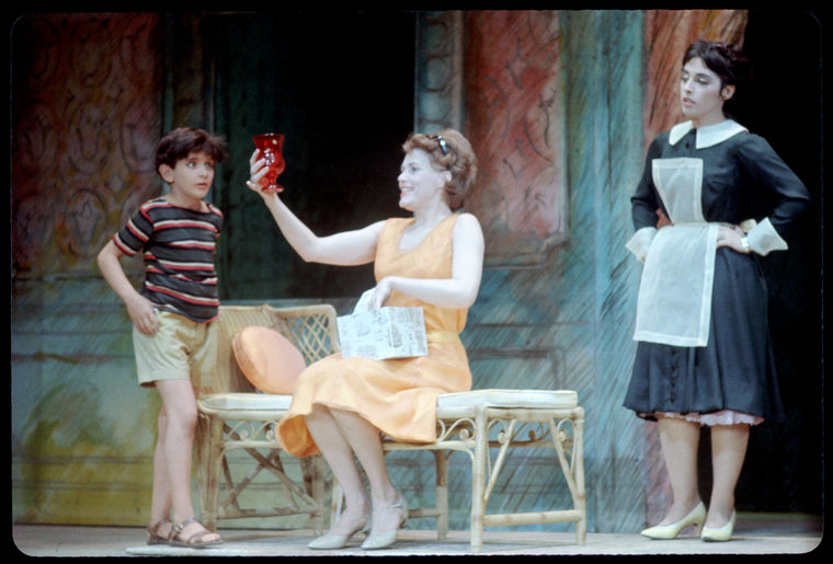 Christopher Votos (Mauro), Elizabeth Allen (Leona Samish) and Fleury D'Antonakis (Giovanna) in Do I Hear a Waltz?