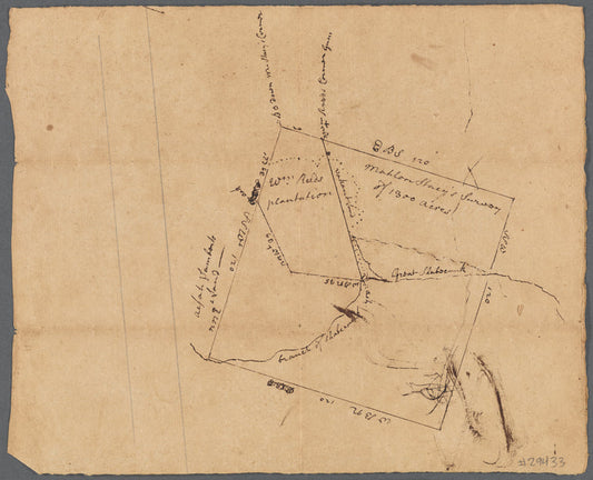 Coppy of M. Stacys survey, 1300 acres (survey of Mahlon Stacy's lands and William Reed's plantation, in Mercer County, New Jersey, no date)