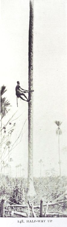Half-way up