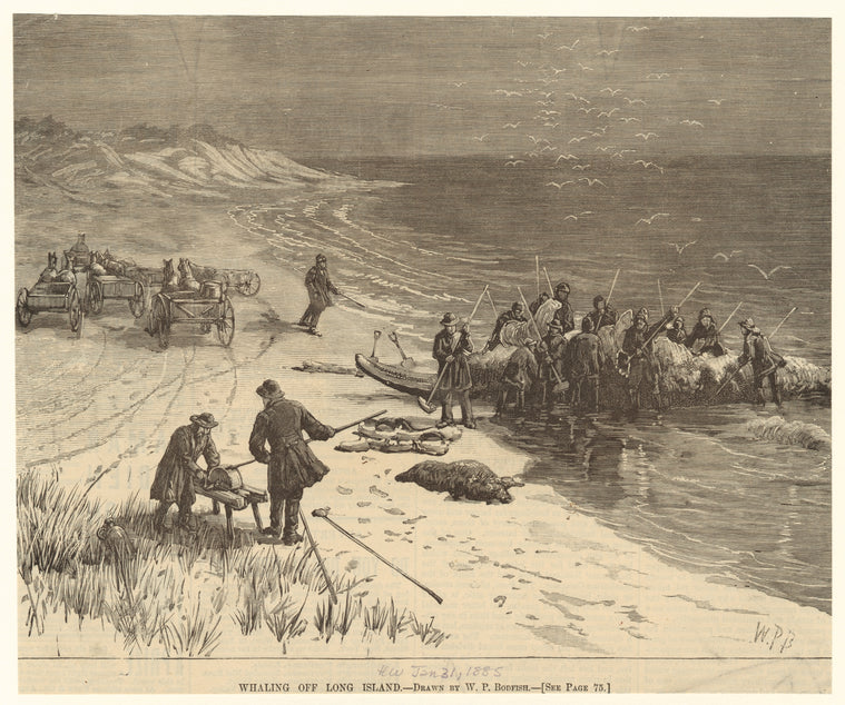 Whaling off Long Island