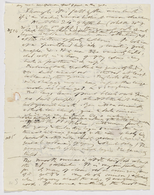 [Autumnal Tints]. 3 pages of holograph draft. Unsigned and undated.