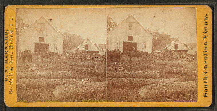 View of stable, on Alex. Knox's plantation, Mount Pleasant, near Charleston, S.C.