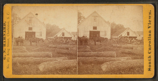 View of stable, on Alex. Knox's plantation, Mount Pleasant, near Charleston, S.C.