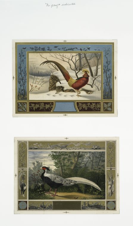 Cards with decorative borders, depicting pheasants in the snow and by a lake.