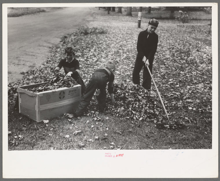 Boy raking up leaves on front lawn, Bradford, Vermont