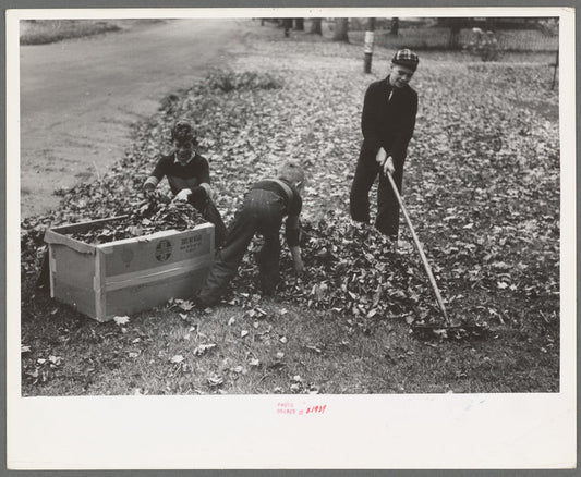 Boy raking up leaves on front lawn, Bradford, Vermont