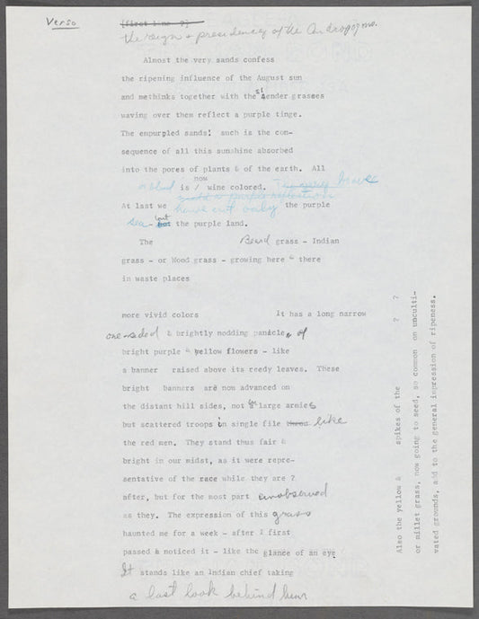 [Autumnal Tints]. Holograph fragment. Unsigned and undated.