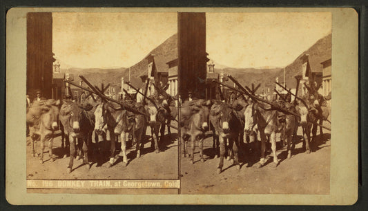Donkey train, at Georgetown, Colorado.