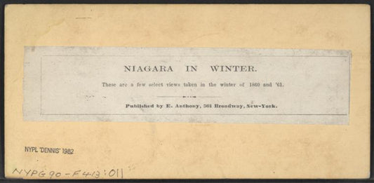 View of Niagara in Winter.