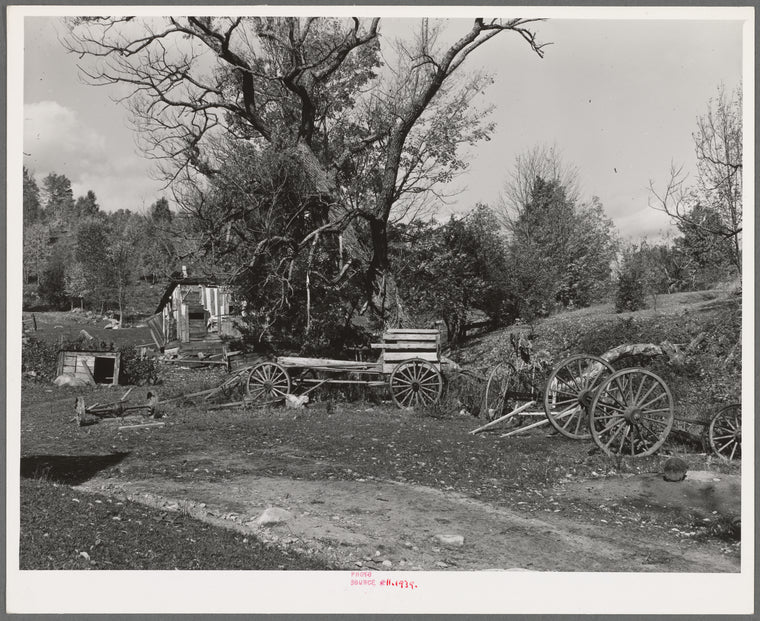 Barnyard on farm in Orange County near Bradford, Vermont