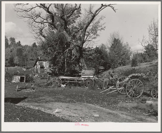 Barnyard on farm in Orange County near Bradford, Vermont