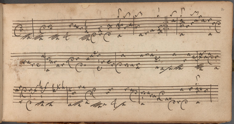 Collection of lute music in French lute tablature