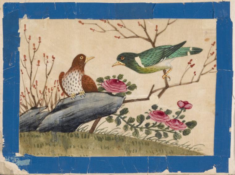 Birds of China. [Brown bird on stone, green bird on branch]