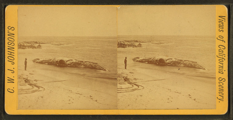 View of man standing at the beach