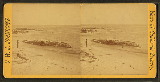 View of man standing at the beach