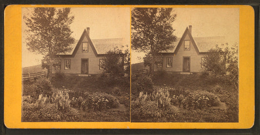 Corinth, Vt. Home of Tenney Tapton, Esq.