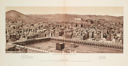 Die Moschee und der nordwestliche Theil der Stadt.