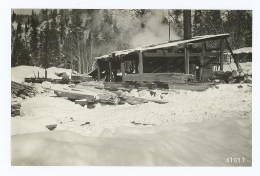H. Conklin's sawmill. This shows the small typical mill sawing mine timber and dimension stuff. Cochetopa National Forest, Colo.