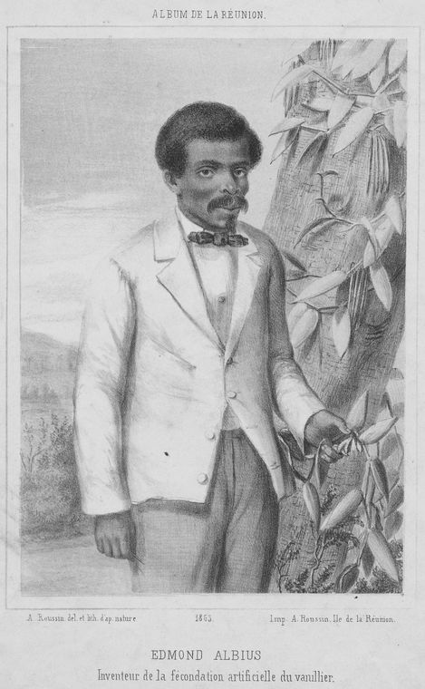 Edmond Albius inventeur de la fécondation artificielle du vanillier.