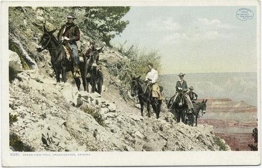 Grand View Trail, Grand Canyon, Ariz.