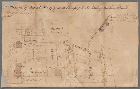 David Provoost's lots in the swamp