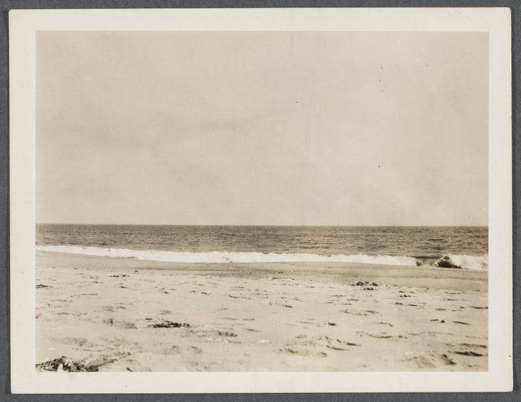View. East Hampton Beach. Sand Dunes. Surf at the beach. East Hampton, East Hampton