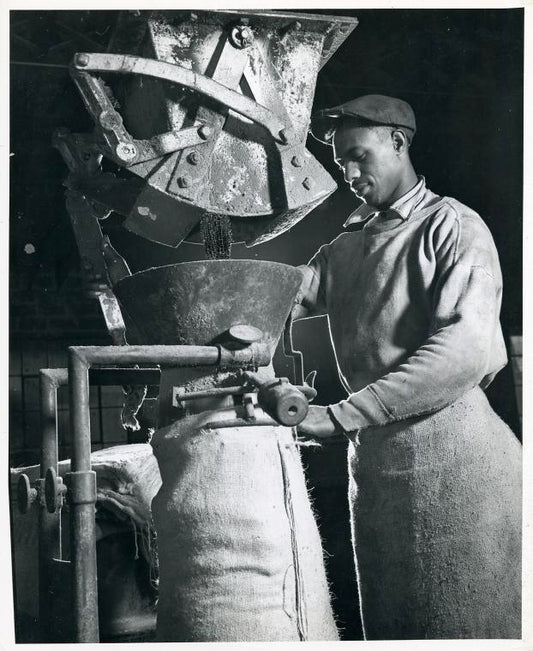 Conservation: Rendering of household fats.