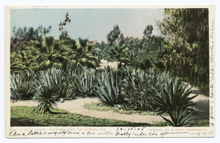 Cacti Garden, Westlake Park, Los Angeles, Calif.