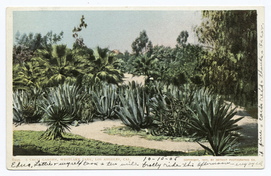Cacti Garden, Westlake Park, Los Angeles, Calif.