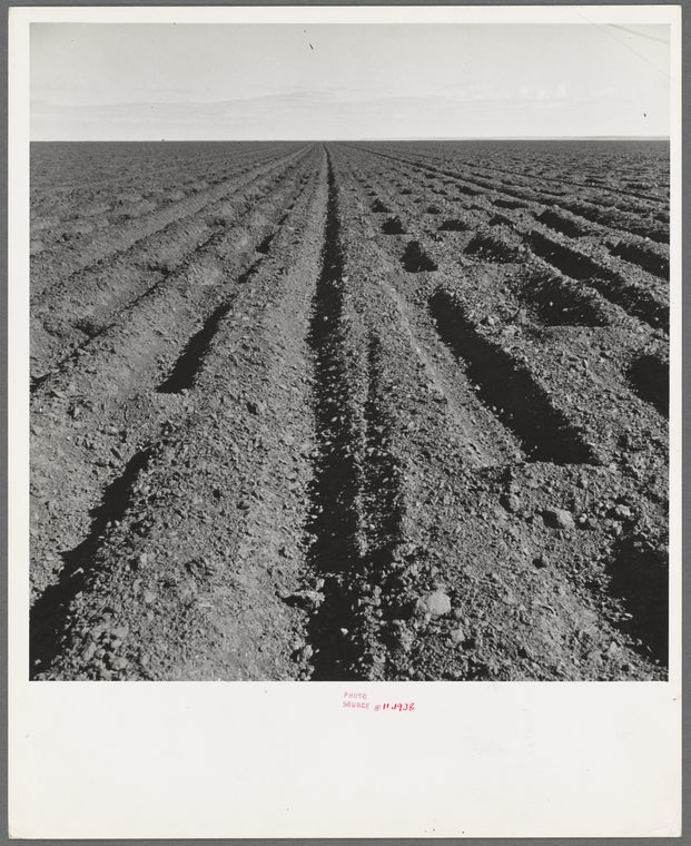 Basin listing on the great plains of the Texas Panhandle
