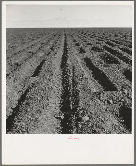 Basin listing on the great plains of the Texas Panhandle