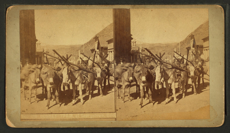 Donkey train, at Georgetown, Colorado.